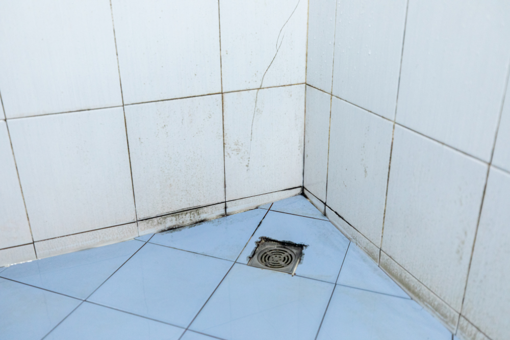 Banyoda Mantar Çıkması: Sebepler
